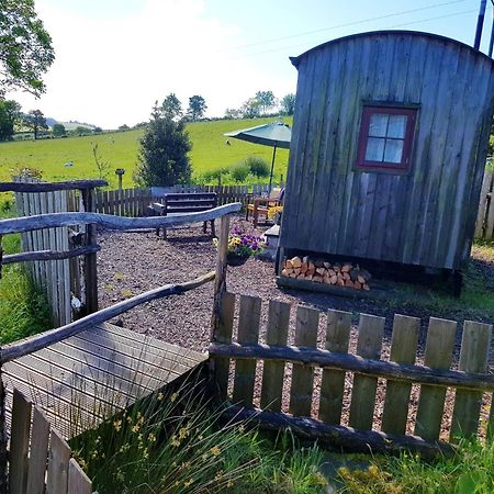 Eco Accommodation Cornflower Holiday Craven Arms Eksteriør billede