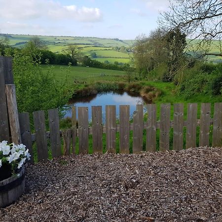 Eco Accommodation Cornflower Holiday Craven Arms Eksteriør billede