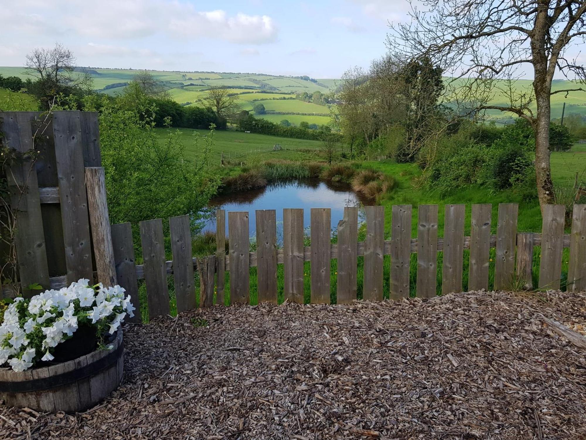 Eco Accommodation Cornflower Holiday Craven Arms Eksteriør billede