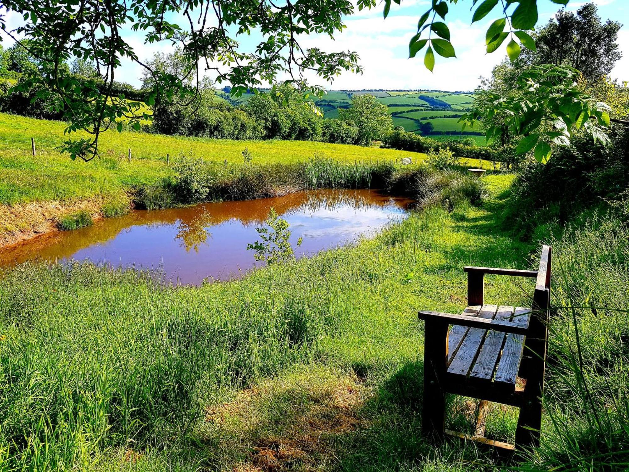Eco Accommodation Cornflower Holiday Craven Arms Eksteriør billede
