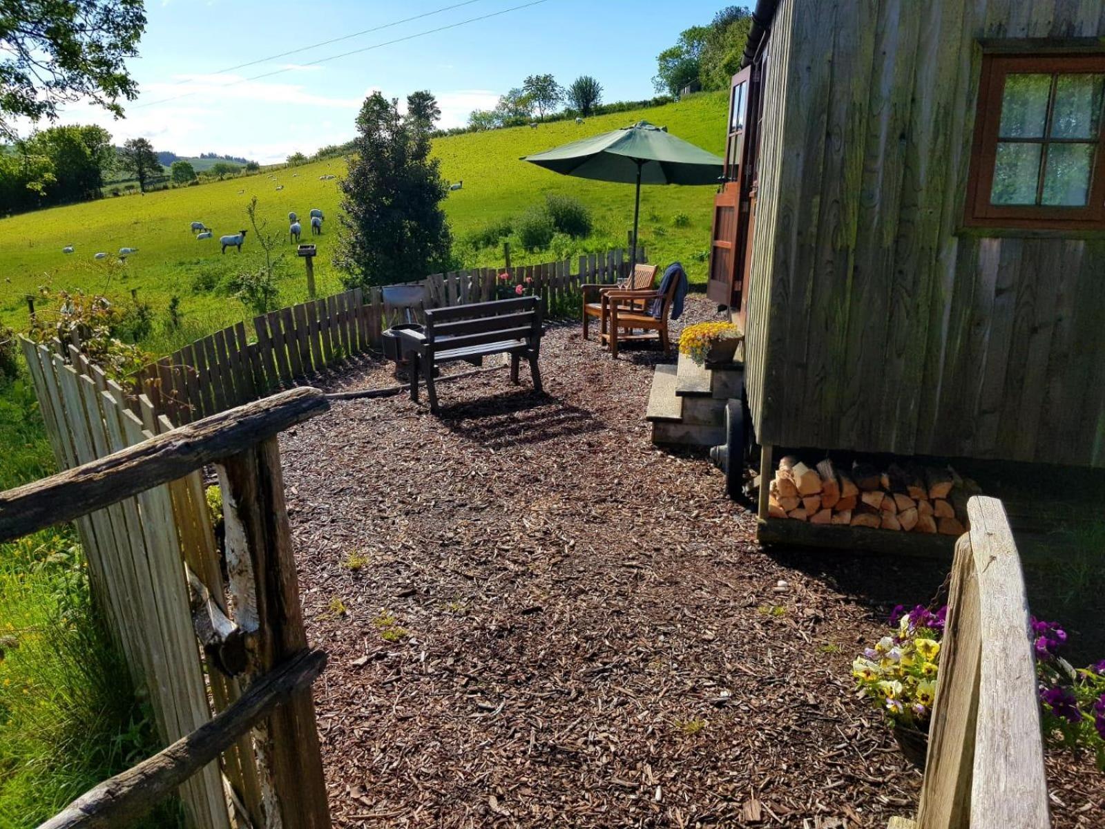 Eco Accommodation Cornflower Holiday Craven Arms Eksteriør billede